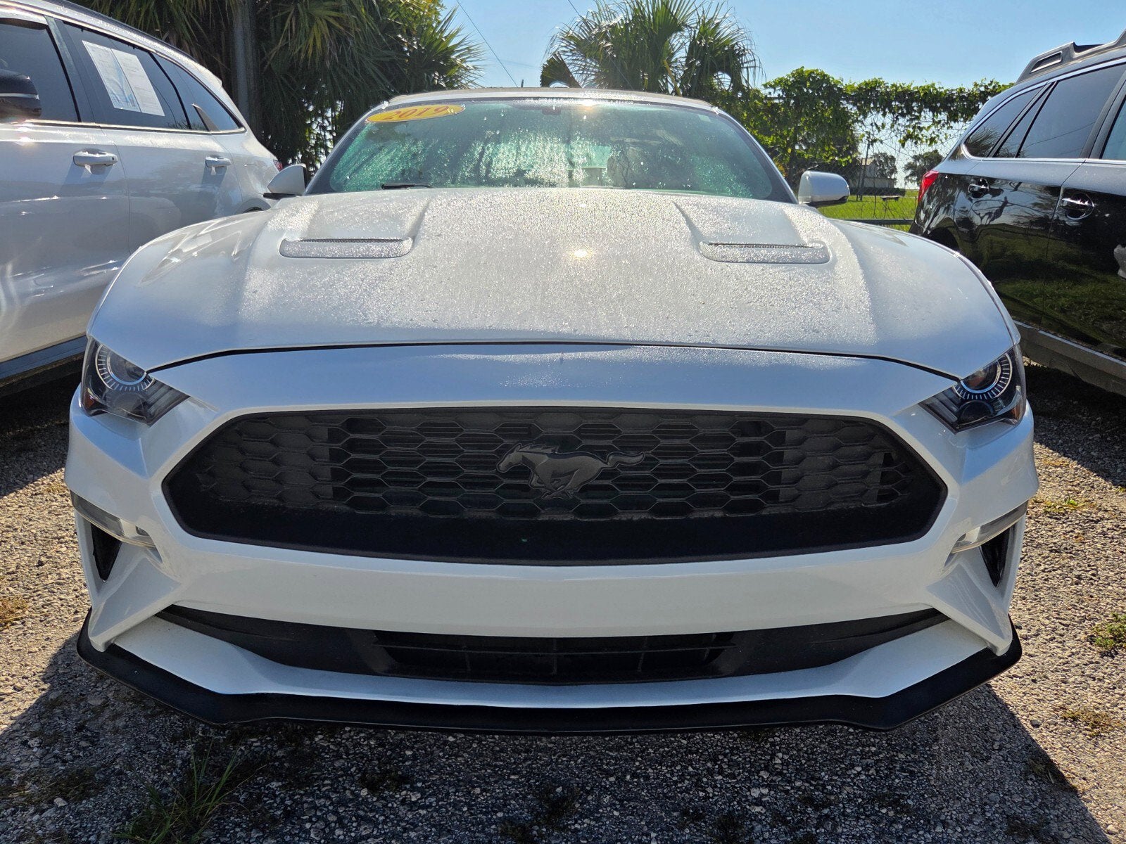 2019 Ford Mustang EcoBoost Premium