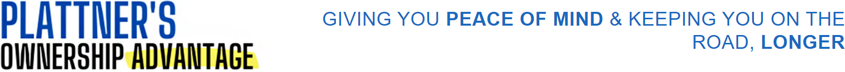 plattners ownership advantage